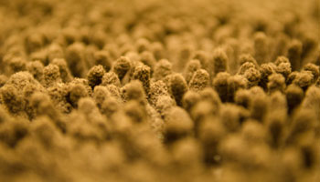 carpet texture